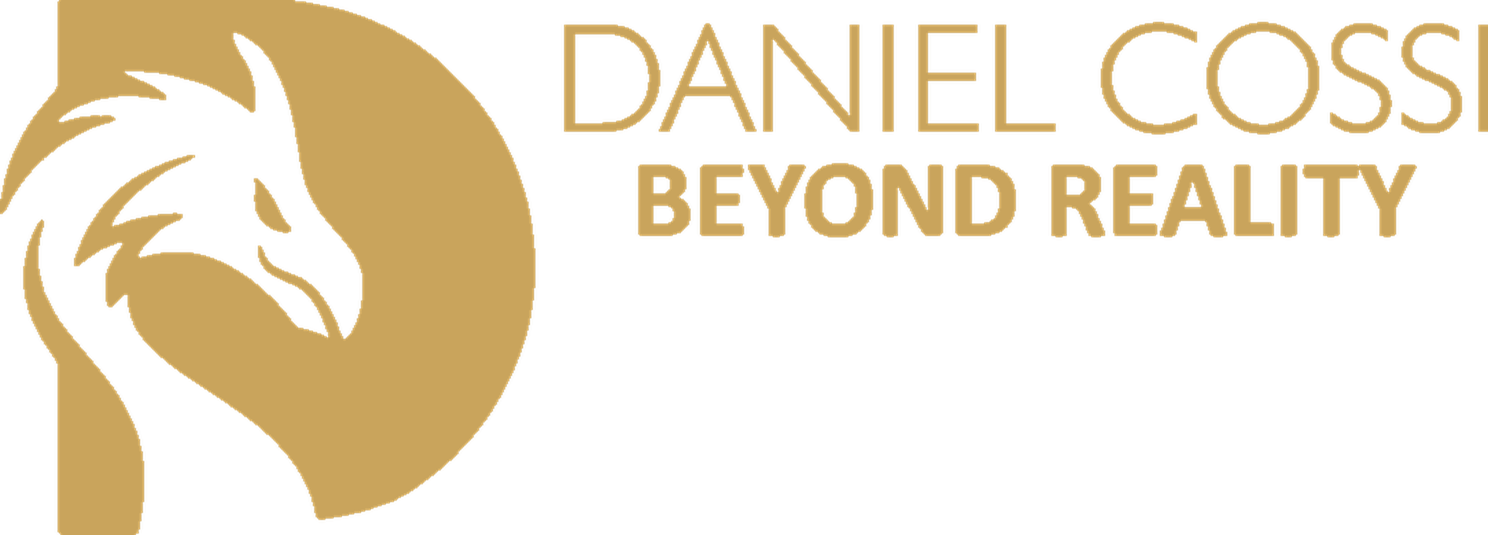 Daniel Cossi · Beyond Reality